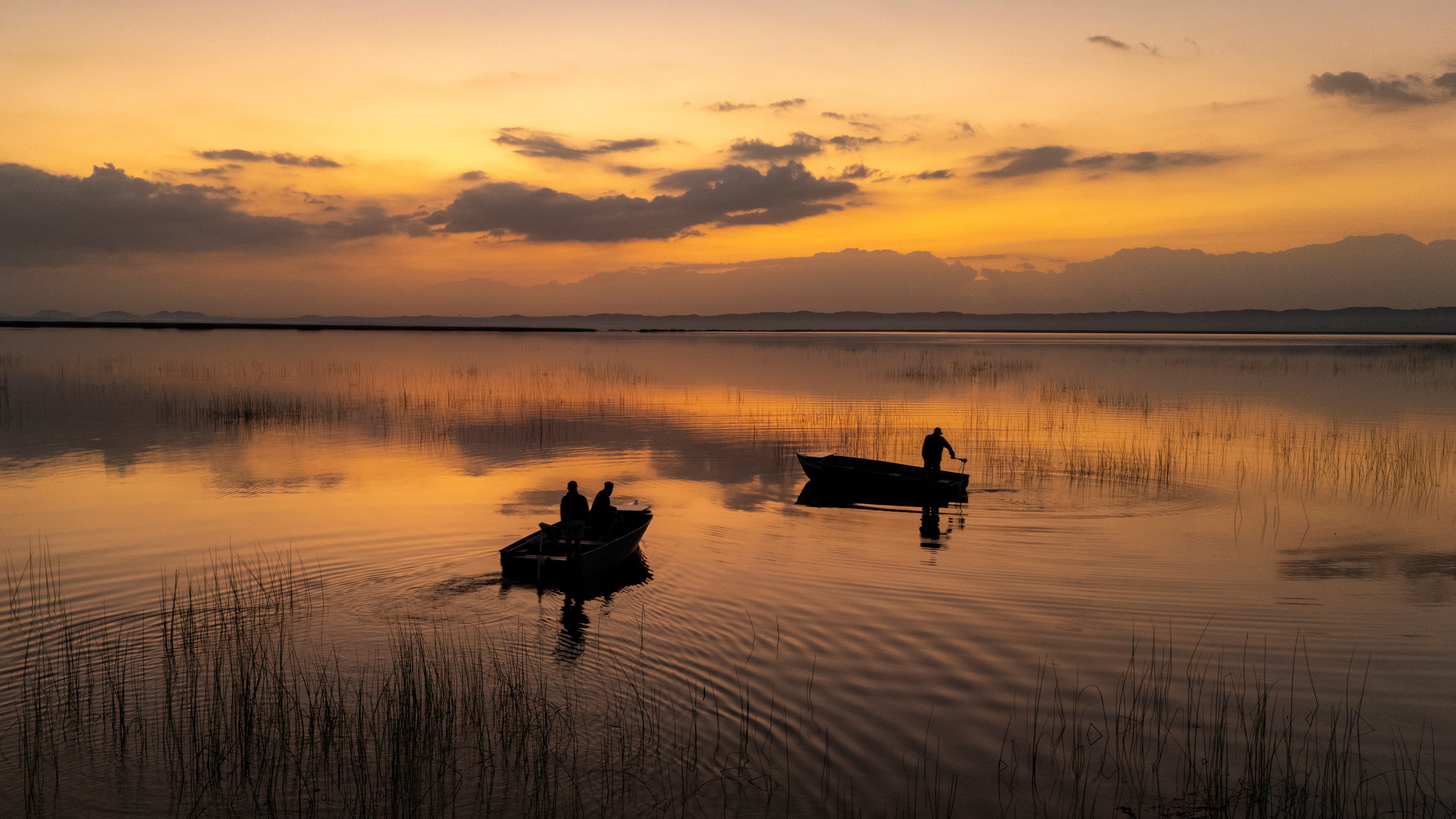 Eco Boats