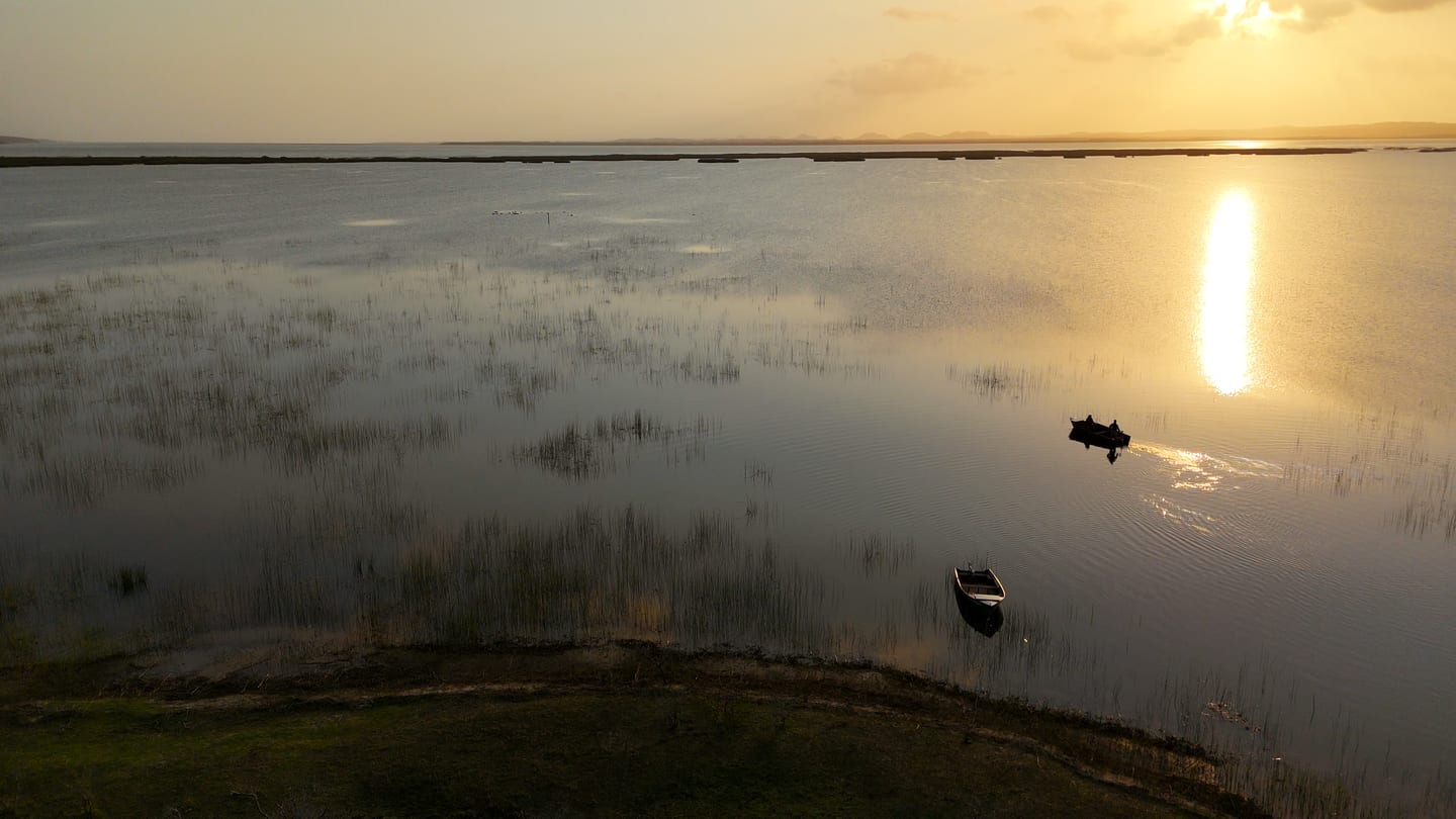 An eco-boat crossing the still lake at sunrise, the sun’s reflection across the water