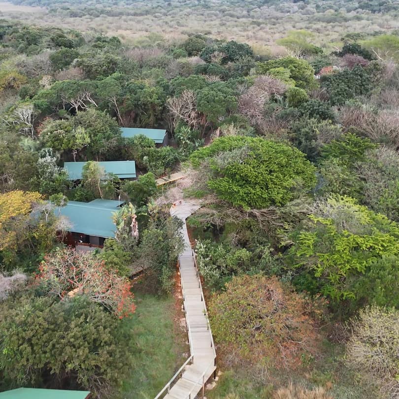 A timber boardwalk winding through the coastal forest between green-roofed suites, seen from the air