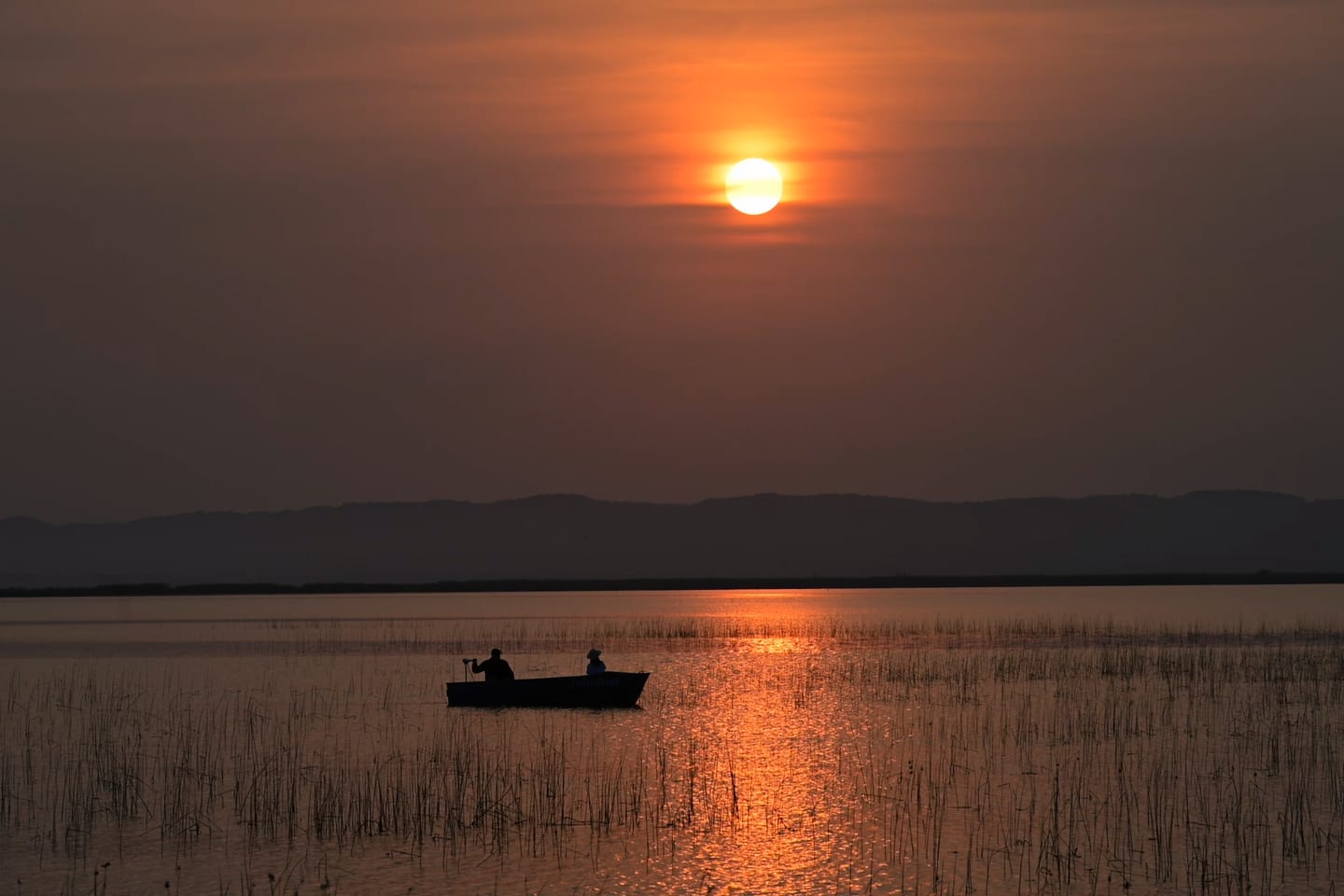 An eco-boat in silhouette drifting towards the sun’s reflection, reeds dark in the foreground
