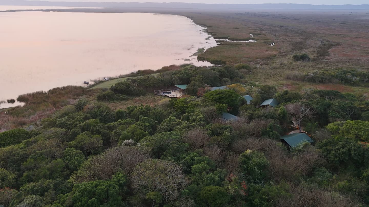 Aerial at dawn over the coastal forest, suite roofs among the trees and Lake St Lucia beyond
