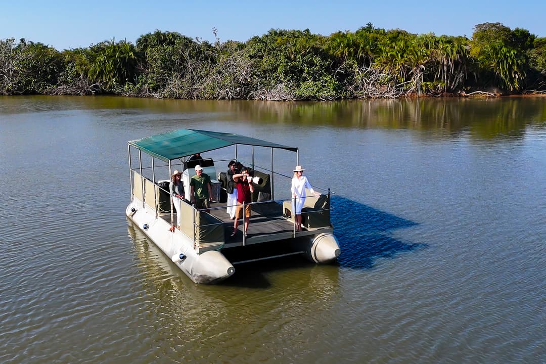 Guests stand and take photographs from the covered pontoon boat on calm water below a forested bank.