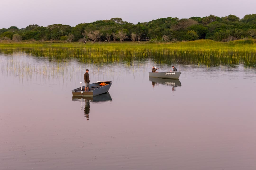 Two eco-boats rest on still, pastel water below a green reed bank, a guide standing at the motor.