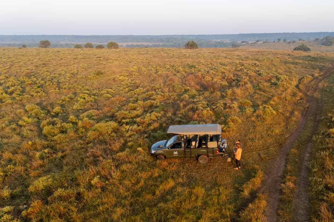 The game vehicle parked beside a sand track through golden dawn grassland