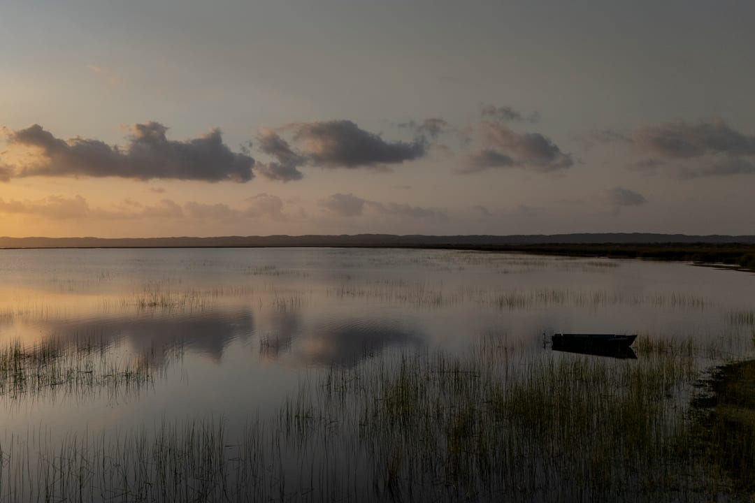 An empty skiff moored among reeds at dusk, amber afterglow on dark glassy water