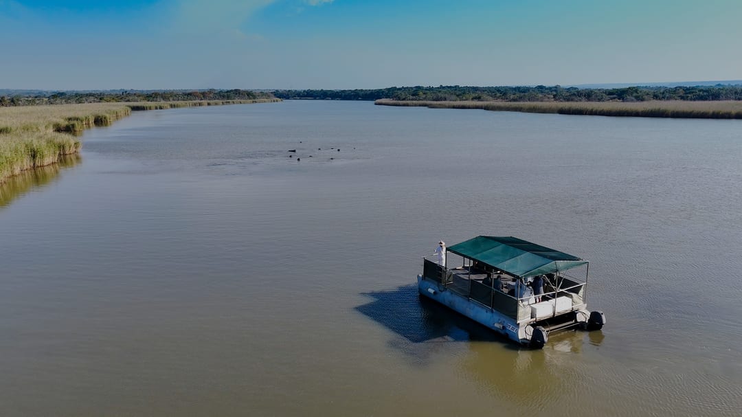 Aerial view of the lodge’s covered boat with guests aboard, hippos surfacing in the channel ahead.