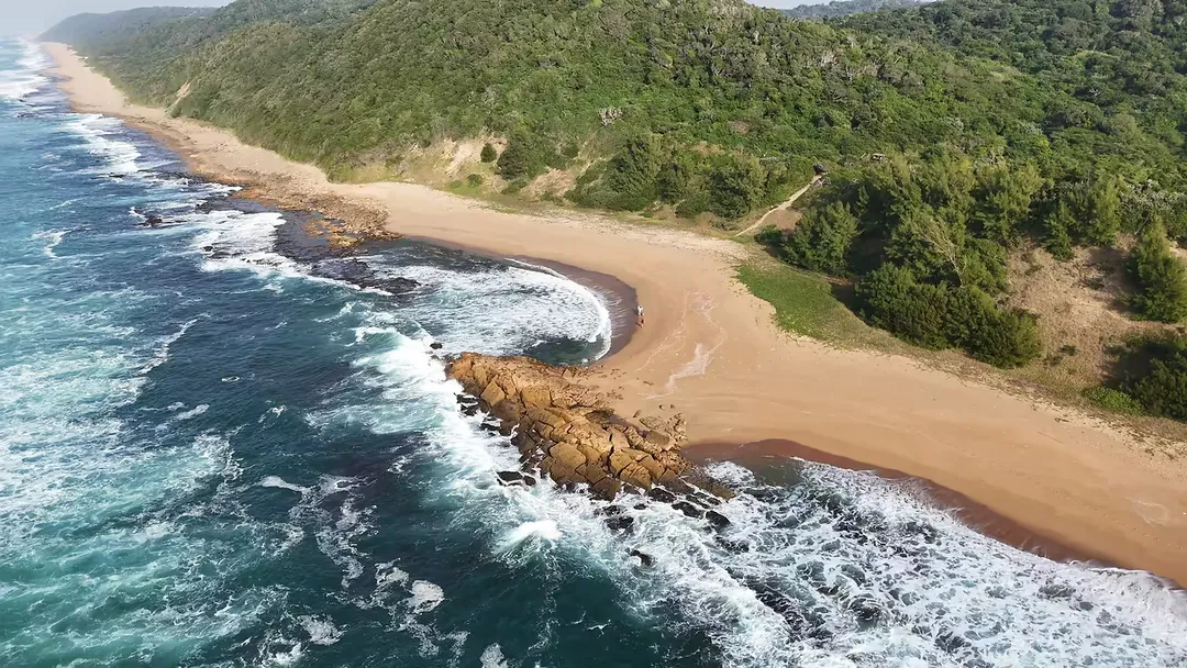 The surf curls around a rocky headland below forested dunes, seen from the air
