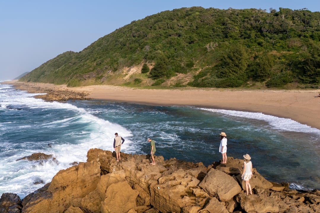 A wave breaks beside a rocky outcrop where guests stand, dune forest headland behind