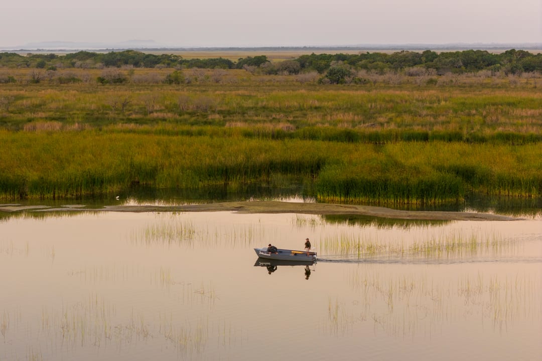 A solar skiff with two guests glides past layered reed beds in soft dawn light