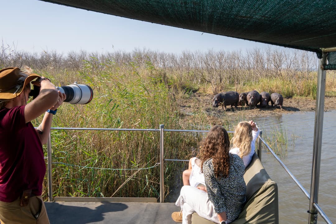 Under the boat’s canopy, a guide with a long lens and two guests watch hippos on the bank.
