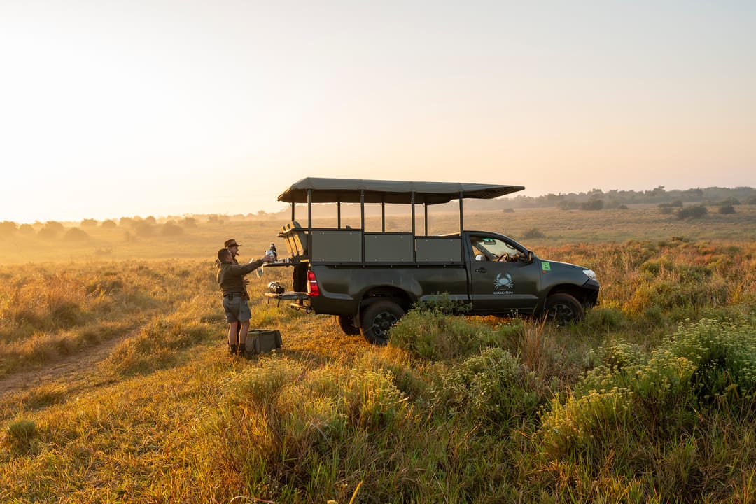The guide sets up a coffee stop at the vehicle’s tailgate in golden sunrise light