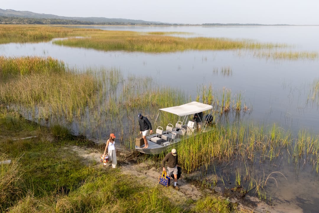 Guests step off the bow onto a grassy bank among reeds, a wide wetland beyond