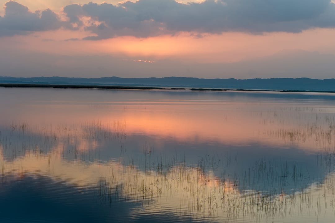 Pink and mauve dawn cloud reflected in glassy water between reed stems