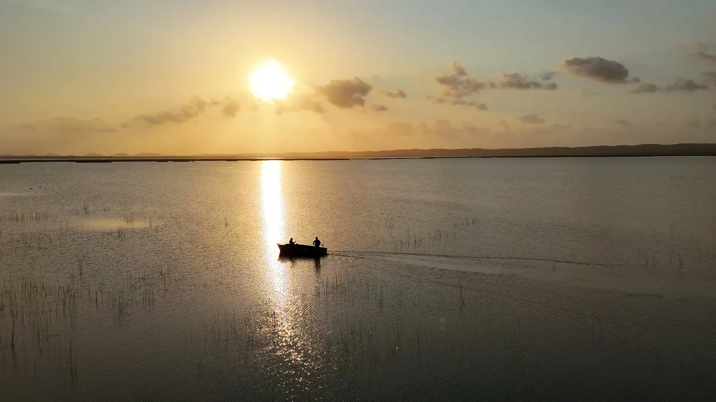 An eco-boat crosses the sun’s path on the still lake at sunrise, seen from the air