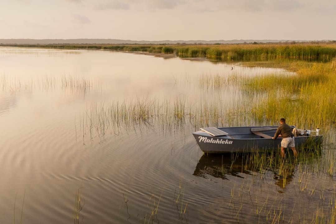 A guide readies a skiff at the reed edge in golden late-afternoon light