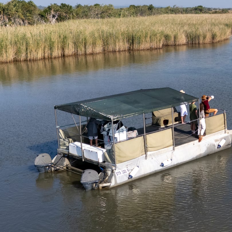 The covered boat at rest on a reed-lined channel as guests photograph hippos surfacing beyond.