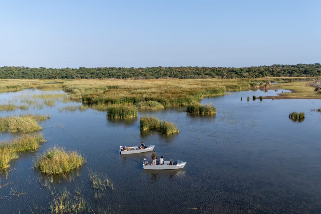 Two eco-boats thread blue channels between green reed islands under a clear sky