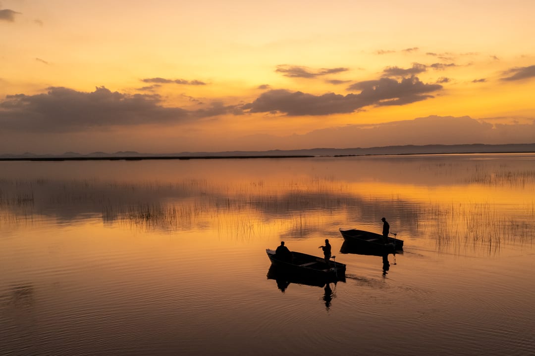 Two eco-boats with standing guests silhouetted on mirror-calm amber water at sunset