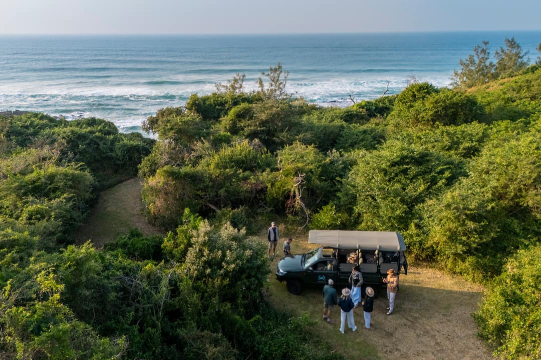 The game viewer parked in a dune clearing above the surf, guests gathered beside it