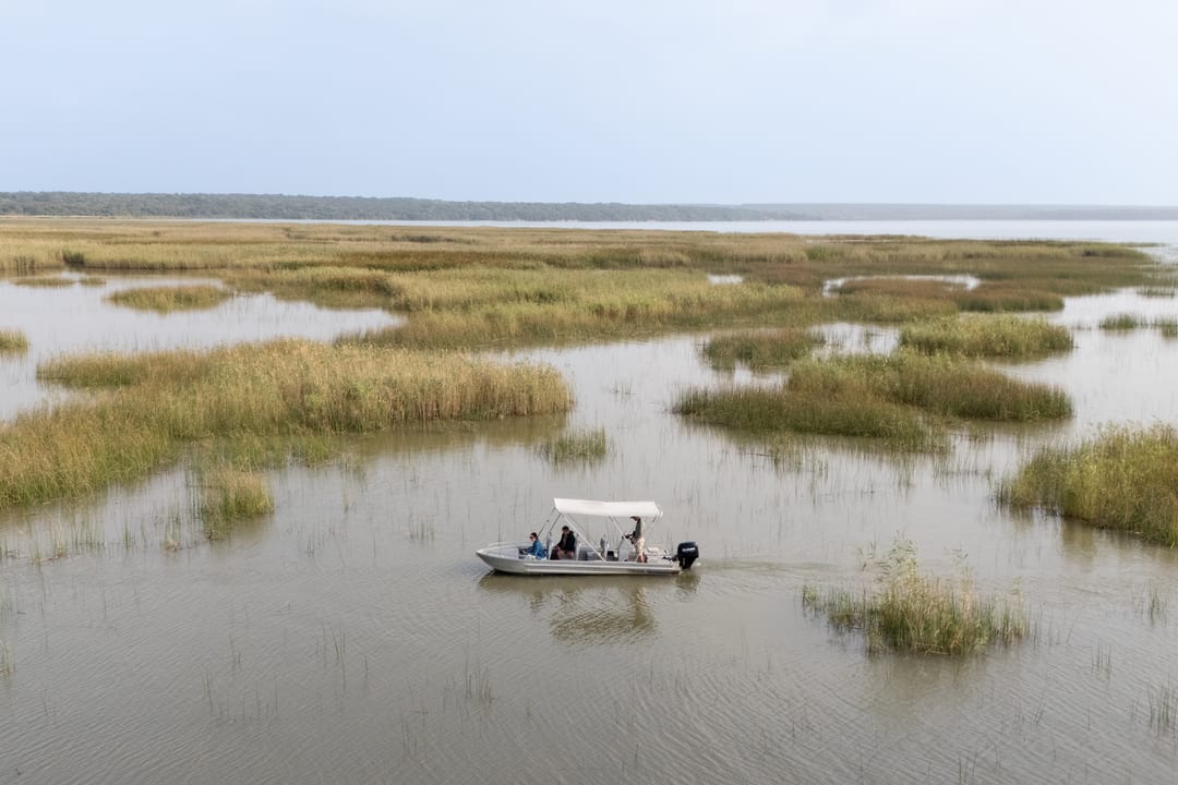 The canopied boat idles among reed islands in shallow water, the lake beyond