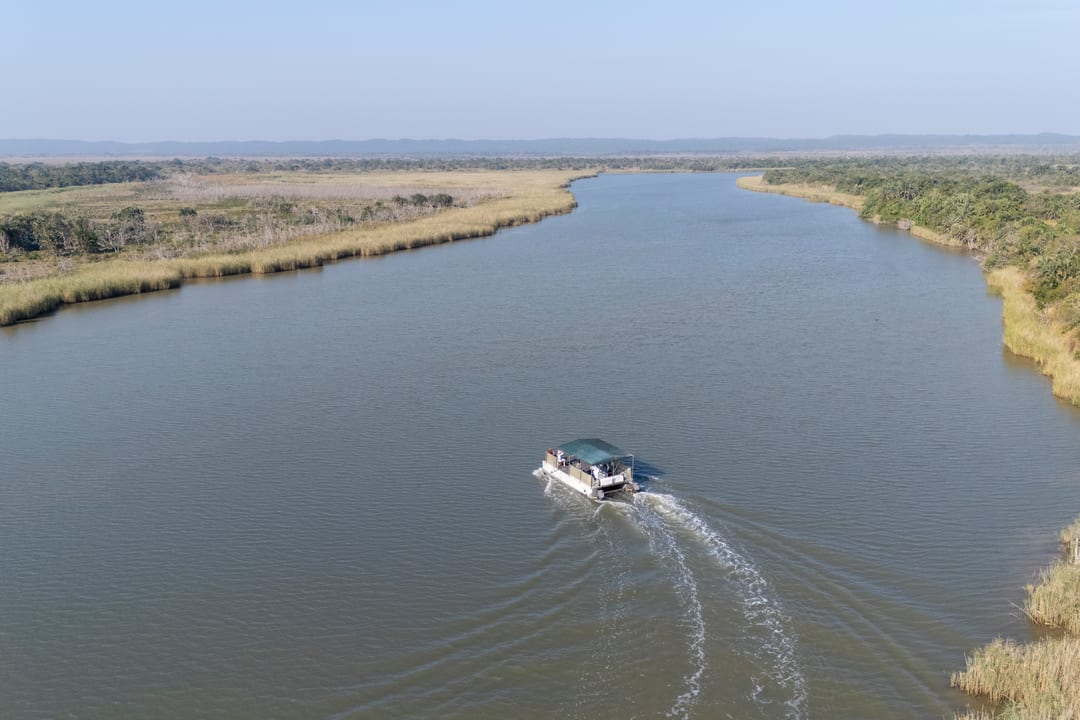 The boat carves an S-shaped wake down a wide channel between golden reed banks