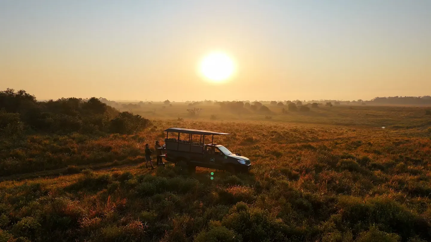 Guests stand by the open game-drive vehicle in golden grassland as the sun rises