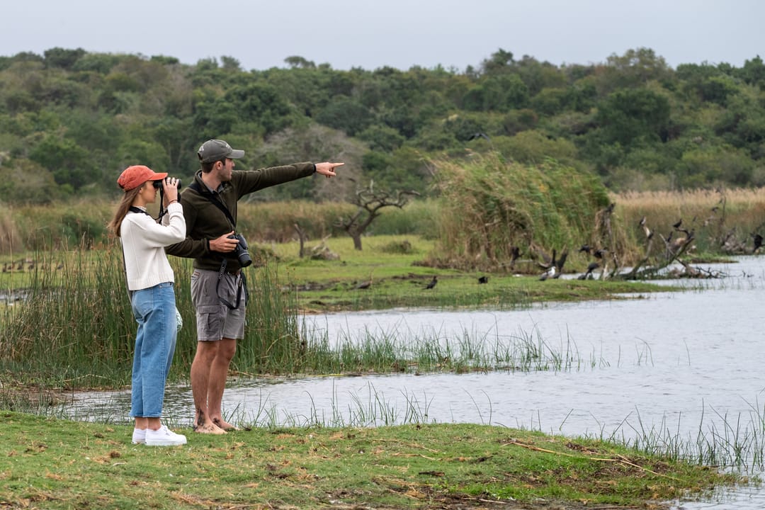 Two guests at the edge of a pan, one pointing to waterbirds on a dead tree