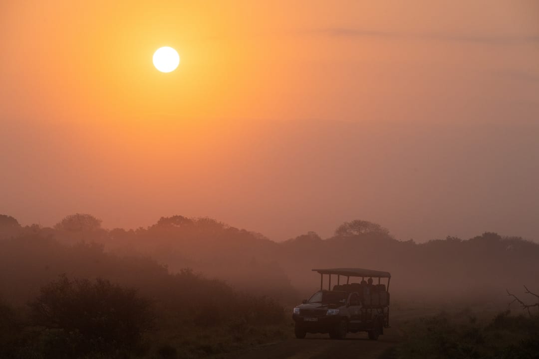 The open game-drive vehicle on a track in thick orange dawn mist, the sun a pale disc