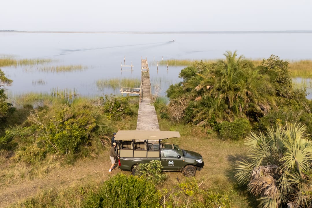 A timber walkway runs out into the lake from a palm-fringed point, the game-drive vehicle parked at its end