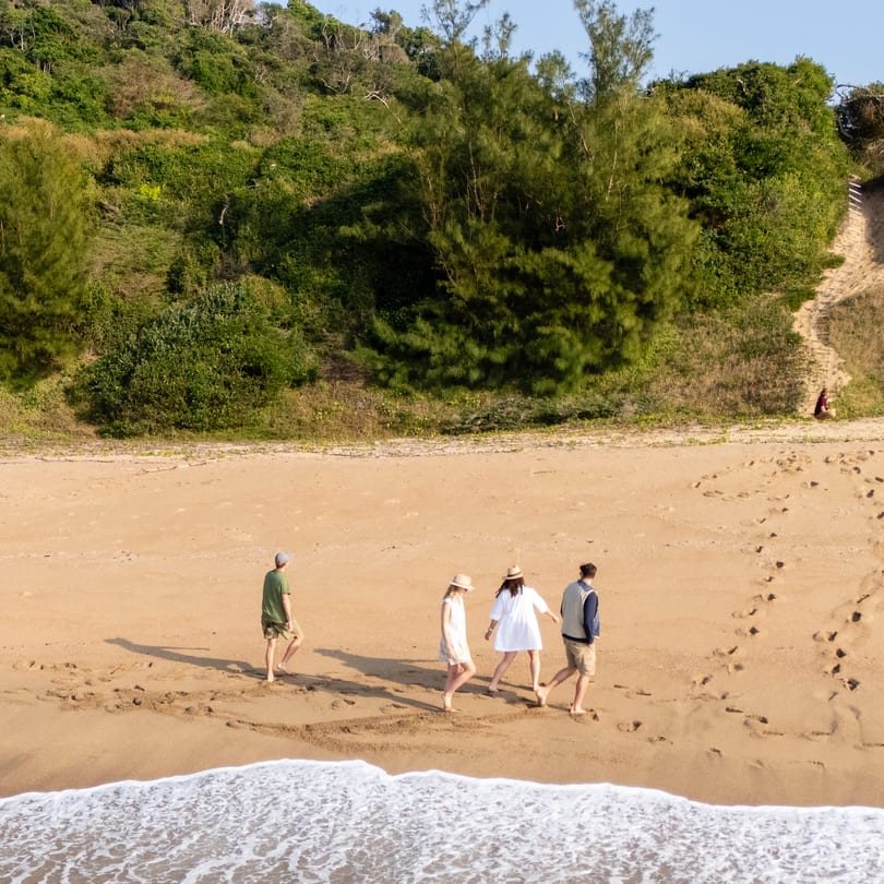 Four guests walk the sand between a forested dune and lacy surf, seen from above.