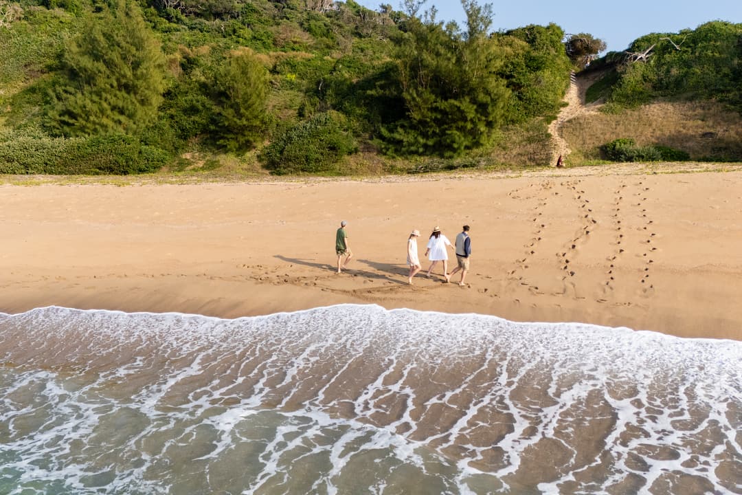 Guests stroll the surf line below the dune forest, footprints and lace foam on the sand