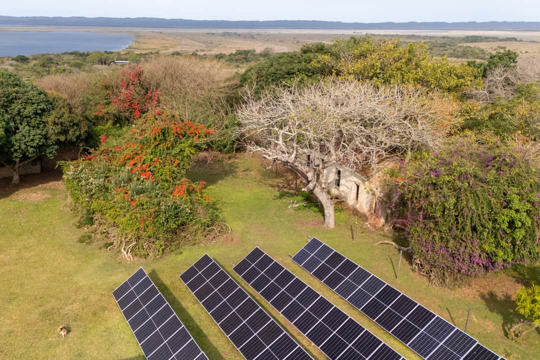 Rows of solar panels on a lawn among flowering shrubs, the lake on the horizon