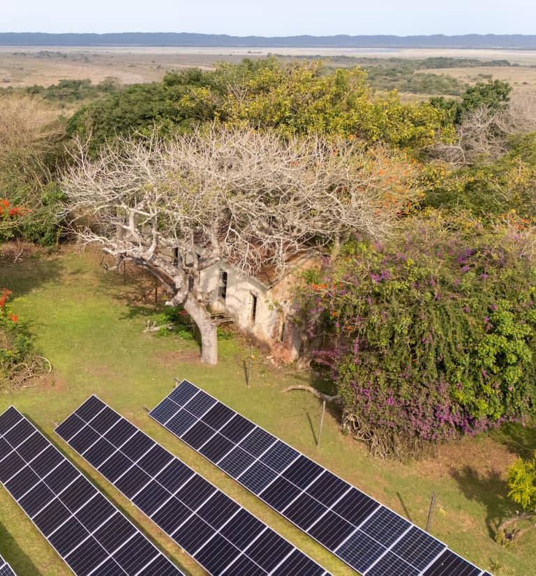 Rows of solar panels on a lawn below flowering trees, with Lake St Lucia beyond.