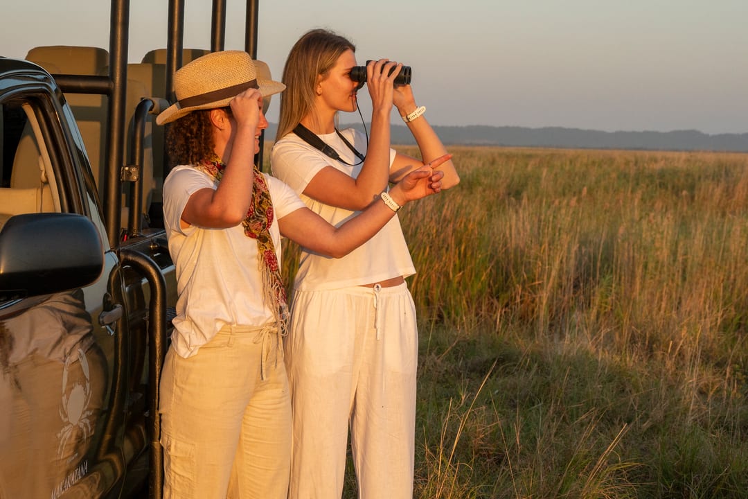 Two guests at the open door of the vehicle scan the plain with binoculars in golden light
