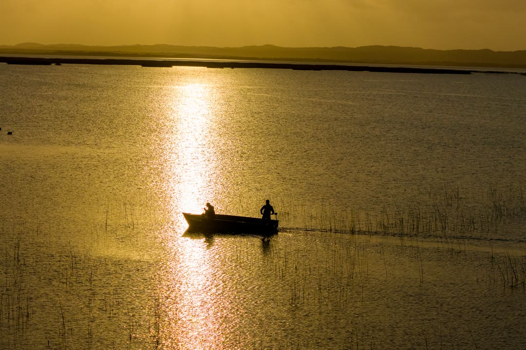 A guide stands in a skiff crossing the sun’s glitter path in gold light